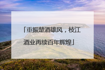 重振楚酒雄风，枝江酒业再续百年辉煌