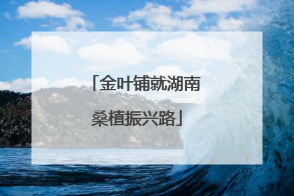 金叶铺就湖南桑植振兴路