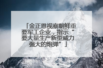 金正恩视察朝鲜重要军工企业，指示“要大量生产新型威力强大的炮弹”