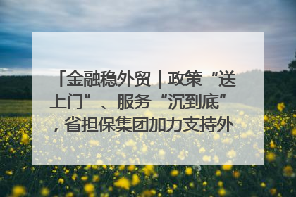 金融稳外贸｜政策“送上门”、服务“沉到底”，省担保集团加力支持外经贸高质量发展