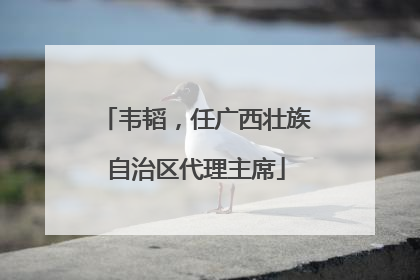 韦韬，任广西壮族自治区代理主席