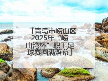 青岛市崂山区2025年“崂山湾杯”职工足球赛圆满落幕
