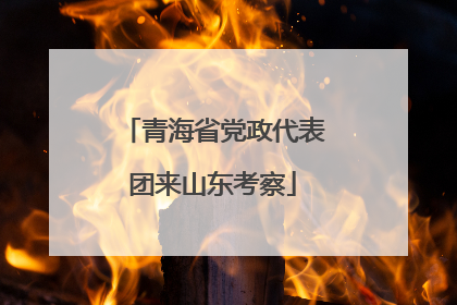 青海省党政代表团来山东考察