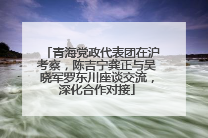 青海党政代表团在沪考察，陈吉宁龚正与吴晓军罗东川座谈交流，深化合作对接