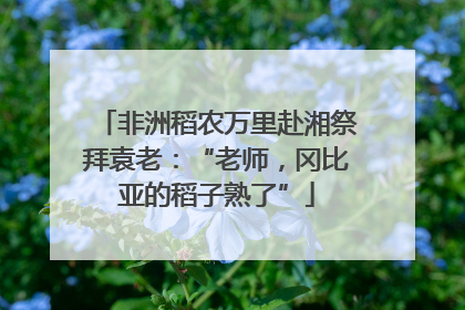 非洲稻农万里赴湘祭拜袁老：“老师，冈比亚的稻子熟了”