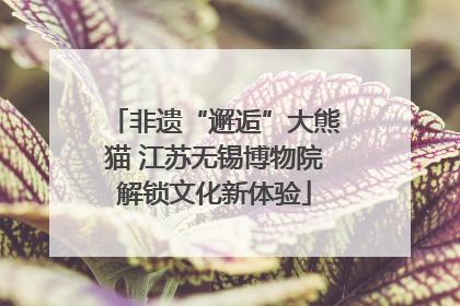 非遗“邂逅”大熊猫 江苏无锡博物院解锁文化新体验