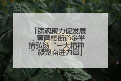铸魂聚力促发展，黄鹤楼街道多举措弘扬“三大精神”凝聚奋进力量