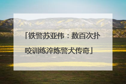 铁警苏亚伟：数百次扑咬训练淬炼警犬传奇
