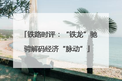 铁路时评：“铁龙”驰骋解码经济“脉动”