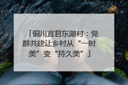 铜川宜君东湖村：党群共建让乡村从“一时美”变“持久美”