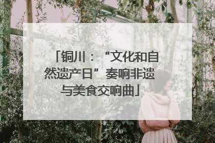 铜川：“文化和自然遗产日”奏响非遗与美食交响曲