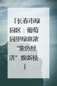 长春市绿园区：葡萄园里绿意浓 “紫色经济”焕新枝