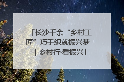 长沙千余“乡村工匠”巧手织就振兴梦｜乡村行·看振兴