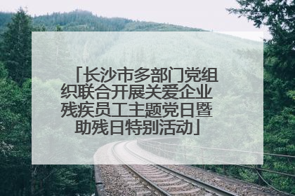 长沙市多部门党组织联合开展关爱企业残疾员工主题党日暨助残日特别活动