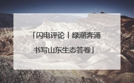 闪电评论丨绿潮奔涌 书写山东生态答卷