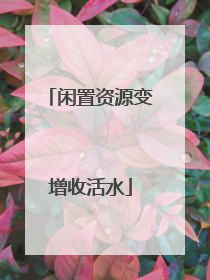 闲置资源变增收活水