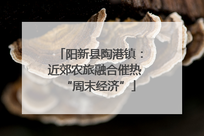 阳新县陶港镇：近郊农旅融合催热“周末经济”