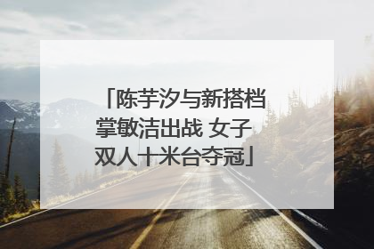陈芋汐与新搭档掌敏洁出战 女子双人十米台夺冠