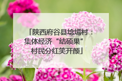 陕西府谷县埝墕村：集体经济“结硕果” 村民分红笑开颜