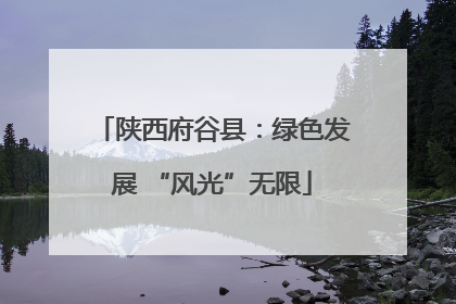 陕西府谷县：绿色发展 “风光”无限