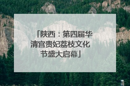 陕西：第四届华清宫贵妃荔枝文化节盛大启幕
