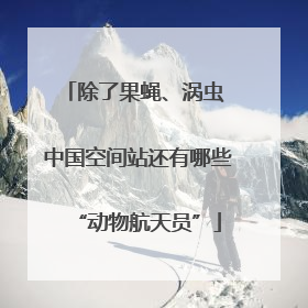 除了果蝇、涡虫 中国空间站还有哪些“动物航天员”
