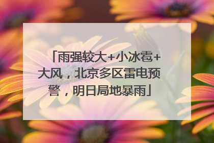 雨强较大+小冰雹+大风，北京多区雷电预警，明日局地暴雨
