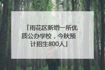 雨花区新增一所优质公办学校，今秋预计招生800人