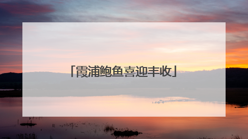 霞浦鲍鱼喜迎丰收