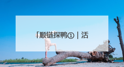 顺链探鸭①｜活鸭20元一斤，街头烤鸭为何却能卖到20多元一只