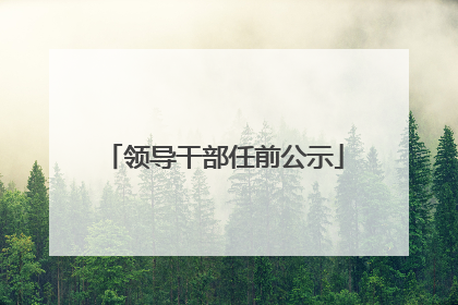 领导干部任前公示