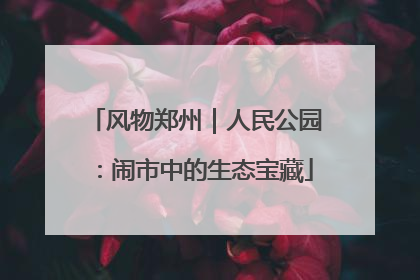 风物郑州｜人民公园：闹市中的生态宝藏