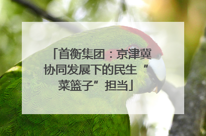 首衡集团：京津冀协同发展下的民生“菜篮子”担当