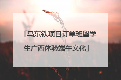 马东铁项目订单班留学生广西体验端午文化