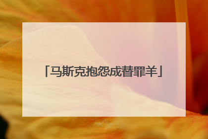 马斯克抱怨成替罪羊