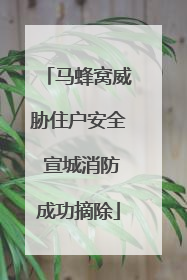 马蜂窝威胁住户安全 宣城消防成功摘除