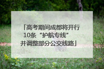 高考期间成都将开行10条“护航专线” 并调整部分公交线路