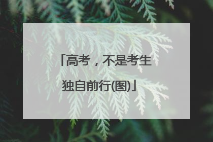 高考，不是考生独自前行(图)