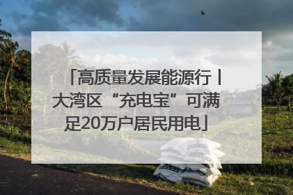 高质量发展能源行丨大湾区“充电宝”可满足20万户居民用电