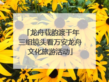 龙舟载韵渡千年 三组镜头看万安龙舟文化旅游活动