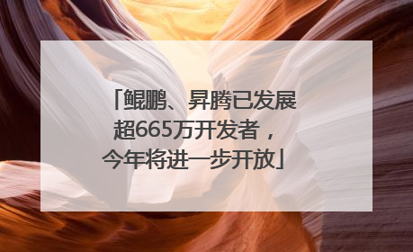 鲲鹏、昇腾已发展超665万开发者，今年将进一步开放
