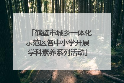 鹤壁市城乡一体化示范区各中小学开展学科素养系列活动