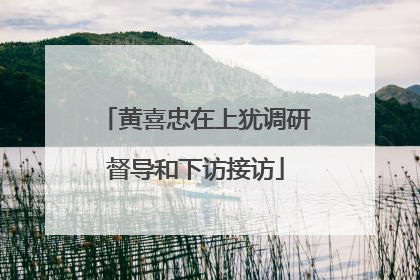 黄喜忠在上犹调研督导和下访接访