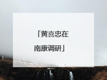 黄喜忠在南康调研
