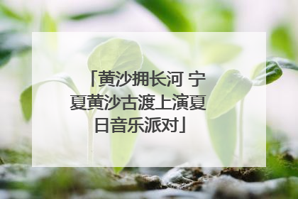 黄沙拥长河 宁夏黄沙古渡上演夏日音乐派对