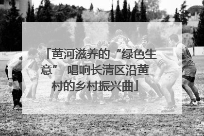 黄河滋养的“绿色生意” 唱响长清区沿黄村的乡村振兴曲