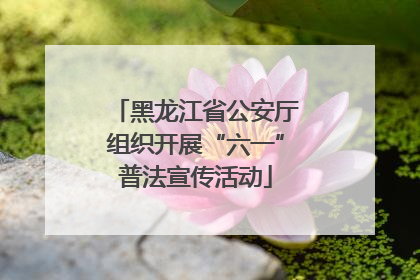 黑龙江省公安厅组织开展“六一”普法宣传活动
