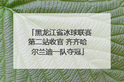 黑龙江省冰球联赛第二站收官 齐齐哈尔兰迪一队夺冠