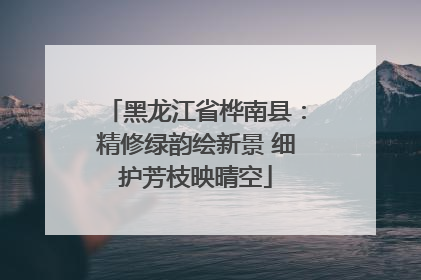 黑龙江省桦南县：精修绿韵绘新景 细护芳枝映晴空