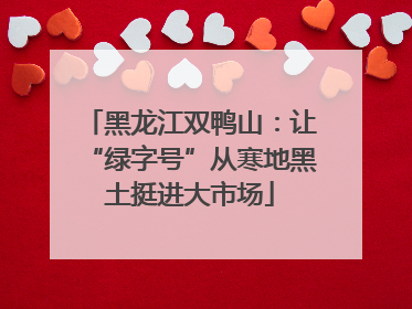 黑龙江双鸭山：让“绿字号”从寒地黑土挺进大市场